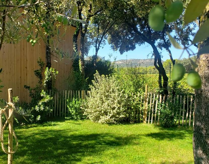 a_lombre_de_la_cheneraie_gite_oliviers_vignoble_grand_pi_saint_loup