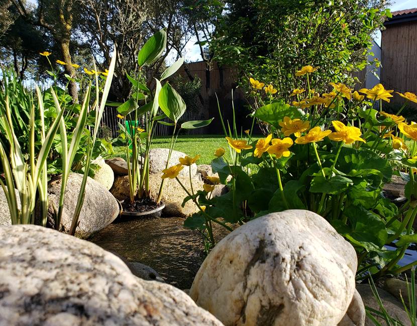jardin parc