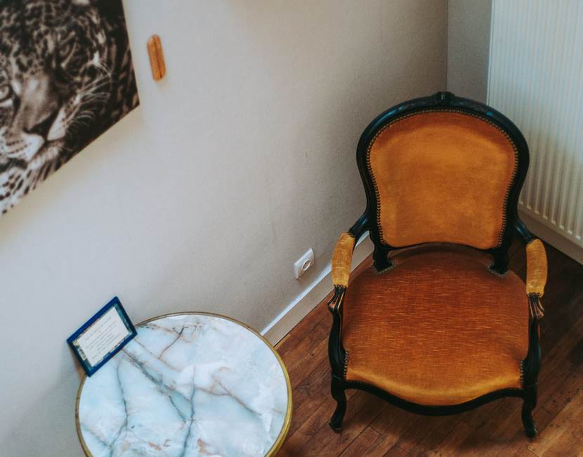 Chambre Savane - Salon