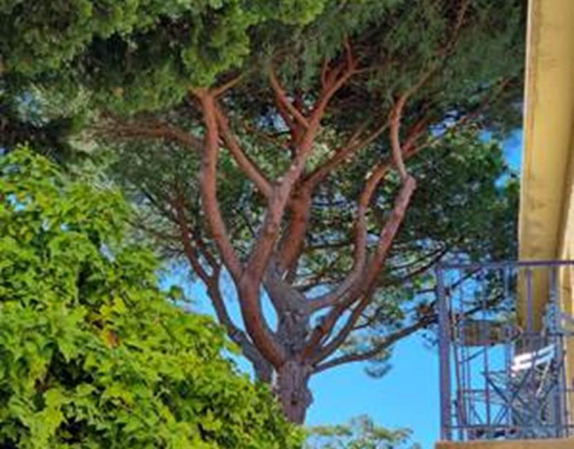 chambre-sur-jardins