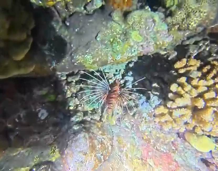 VideoCapture_20260427-125636