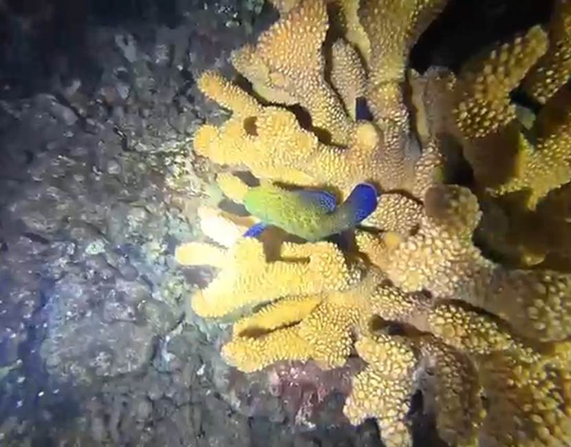 VideoCapture_20260427-130015