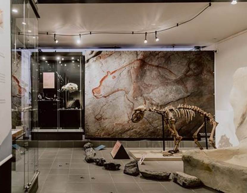 musée+du+malgré-tout+4