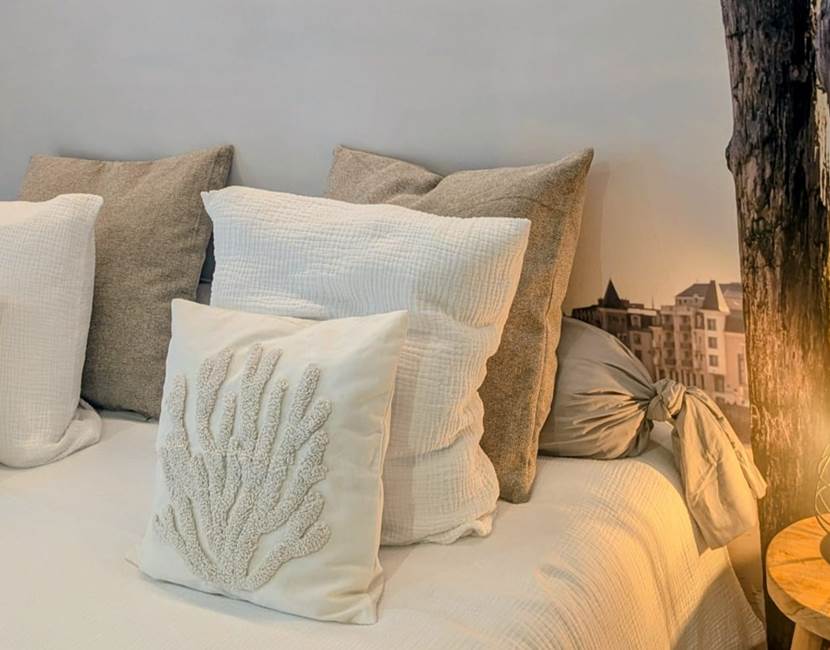 le sillon9