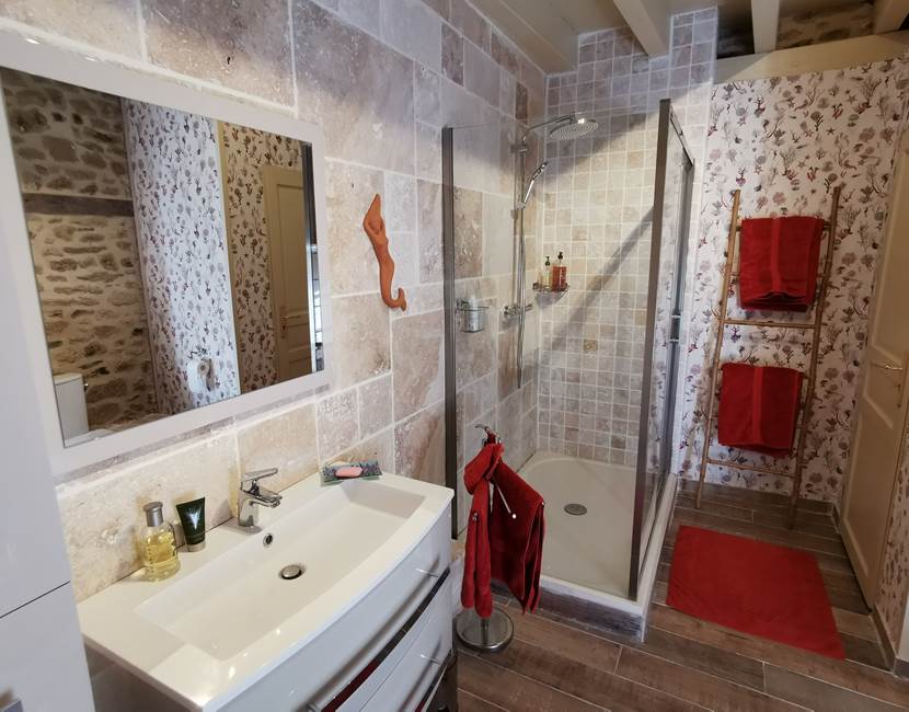 Les Hirondelles la salle de bain avec sa douche à l'italienne