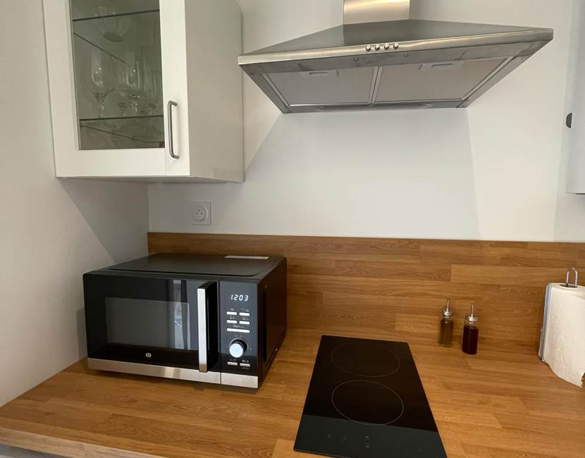 Micro-ondes, plaque de cuisson et petit frigo
