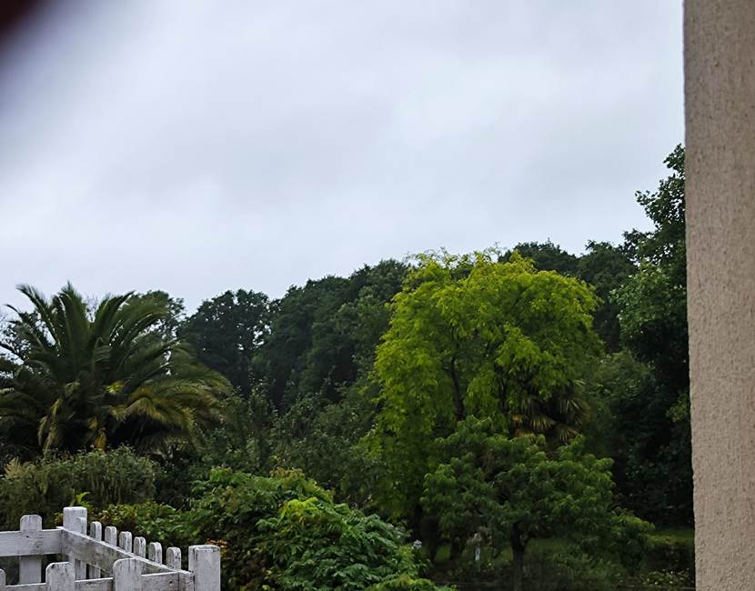 le-sherman-balcon-vue-verdure-couleur-fleur-arbre-secteur-américain