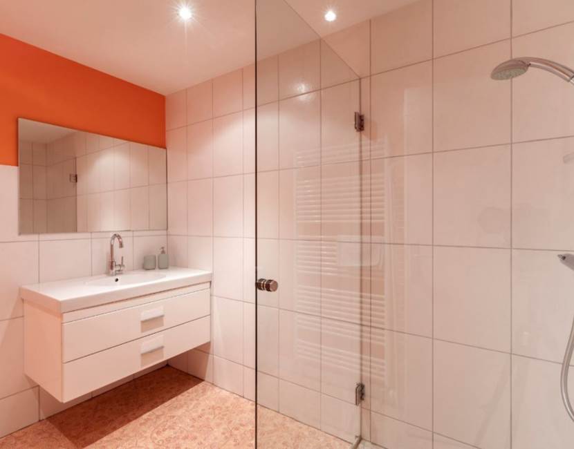 salle de bain / bathroom