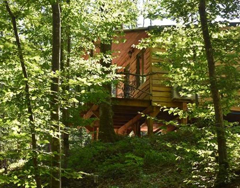 cabane