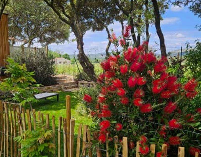 alombredelacheneraie_jardin1_grand_pic_saint_loup_tourisme_gite_les_vignes