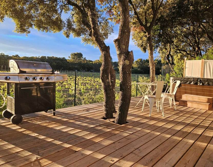 a_lombre_de_la_cheneraie_gite_spa_vignoble_les_vignes_grand_pic_saint_loup