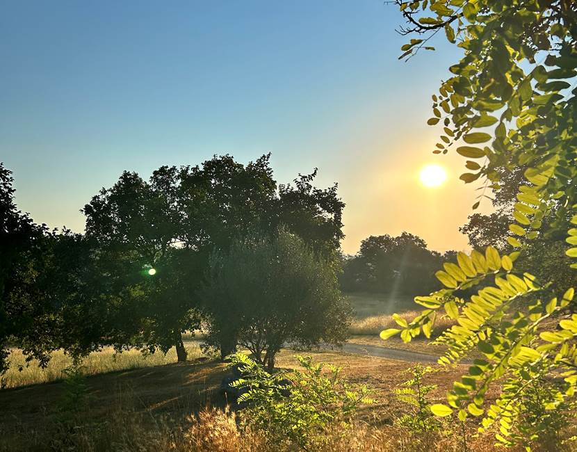 lever de soleil
