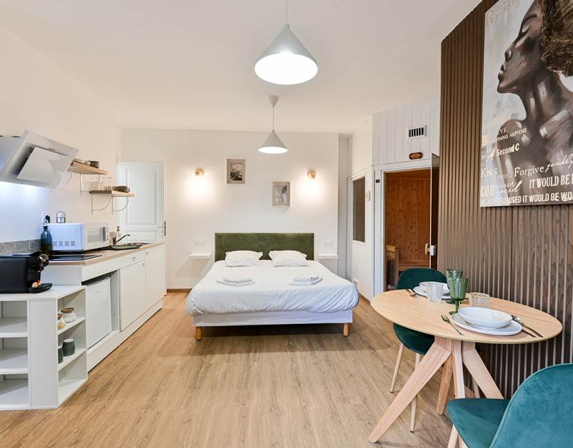 Aperçu du studio : Bievenue dans votre espace tout confort
