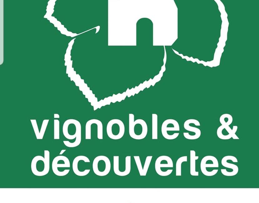 vignobles et découverte