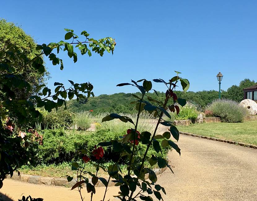 La Greze jardin vue Bergerie