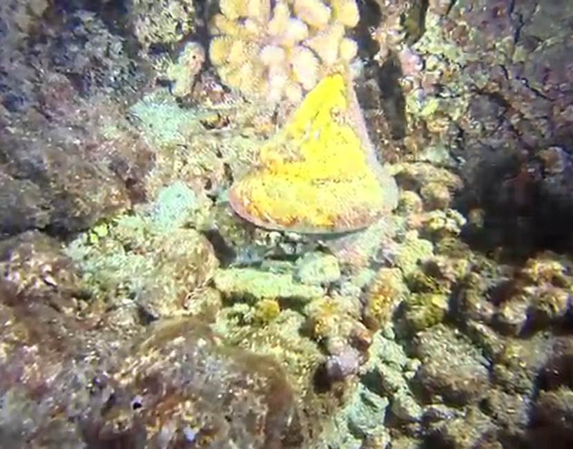 VideoCapture_20260427-125835