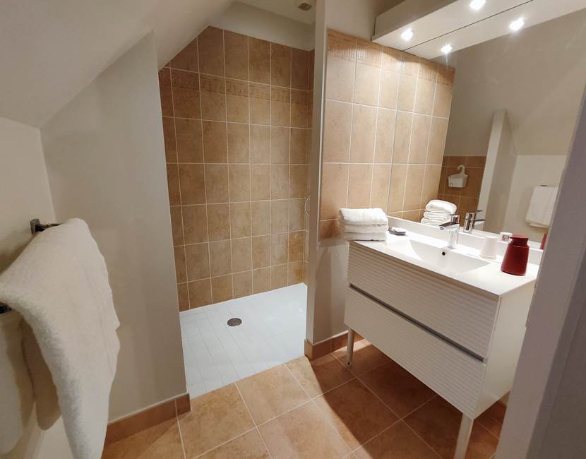 le-sherman-salle-de-bain-lumineuse-spacieuse-nouvelle-robinetterie-propreté-beauté-sèche-cheveux-miroir