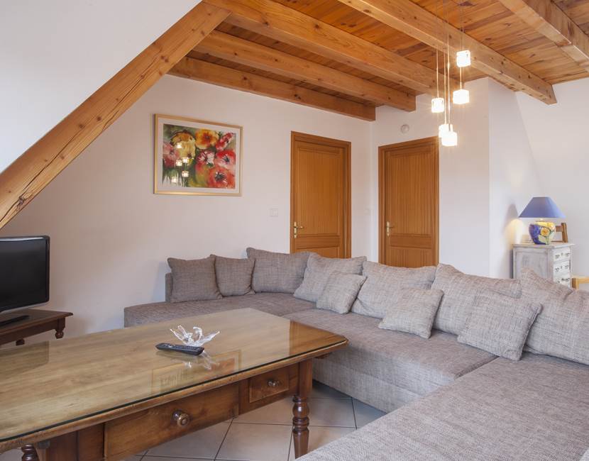 pièce à vivre / living room