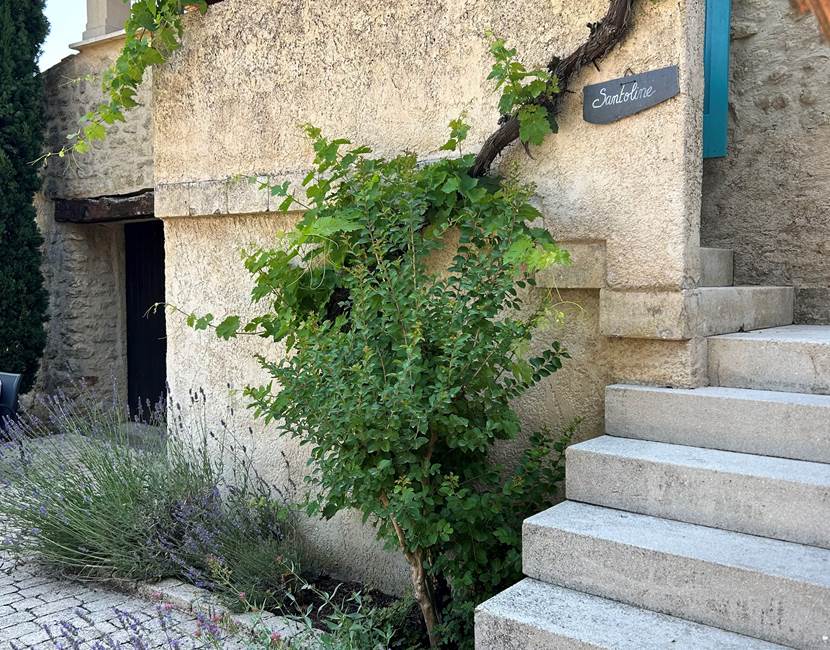 Entrée Santoline 1