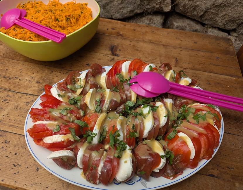 Tomates mozarella