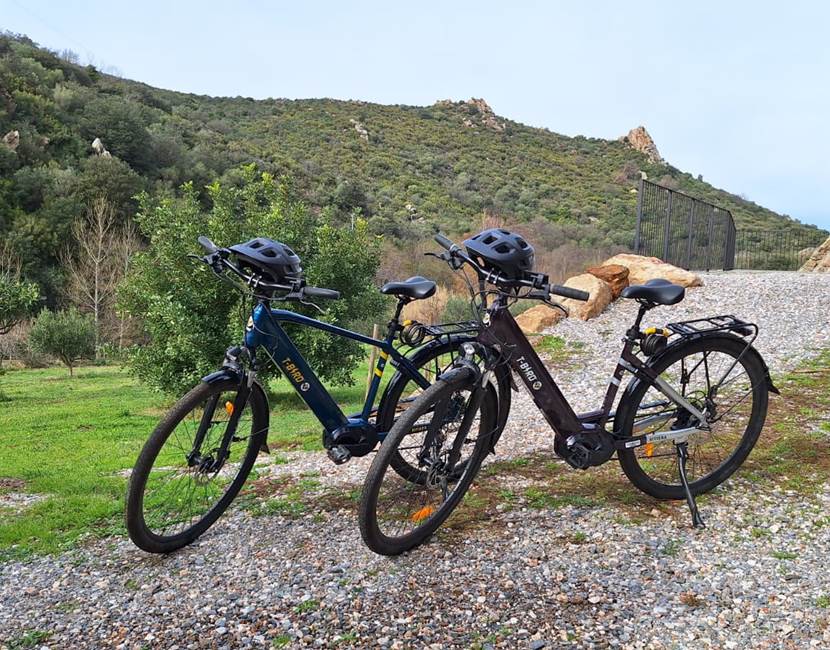 Velos assistance electrique