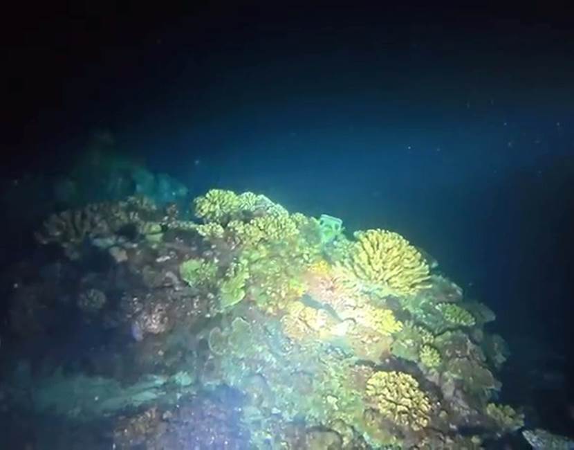 VideoCapture_20260427-125739