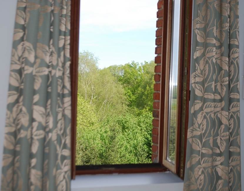 vue sur la nature Chambre Cabanon En Haute-Vienne Le Ranch des Lacs