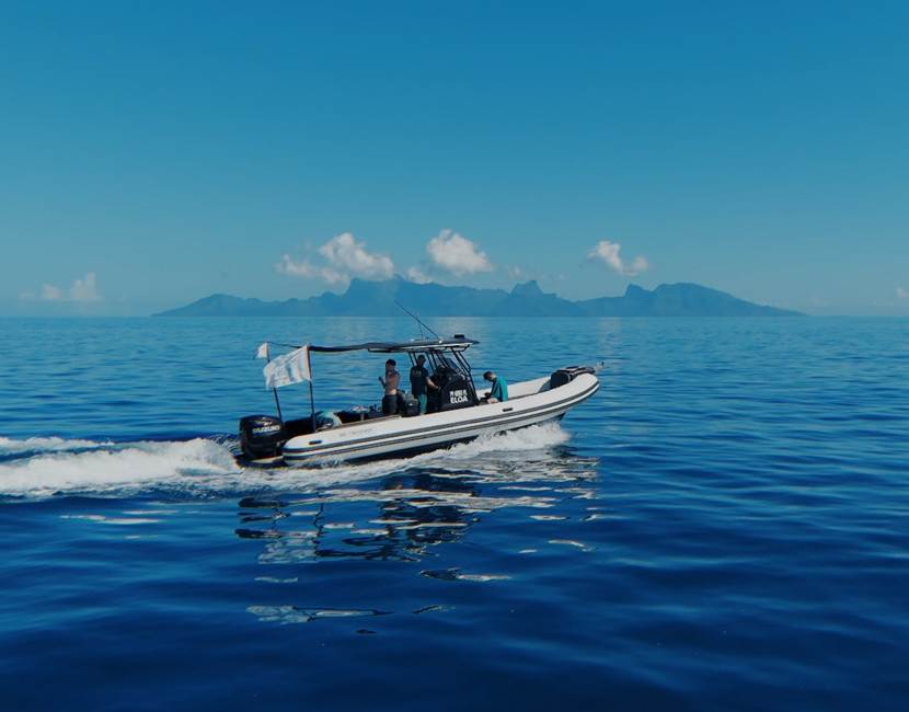 BATEAU ELOA ET MOOREA