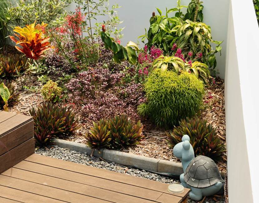 Jardin fleuri