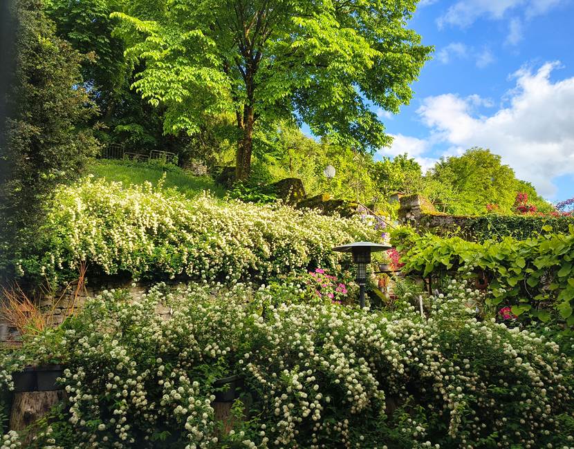 Le printemps s'invite au jardin