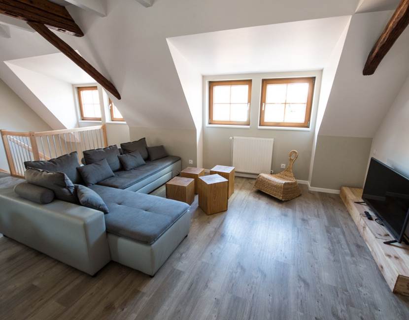 pièce à vivre / living room