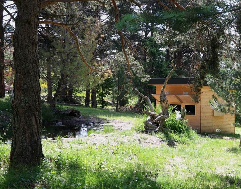 Cabane de l'arborethum