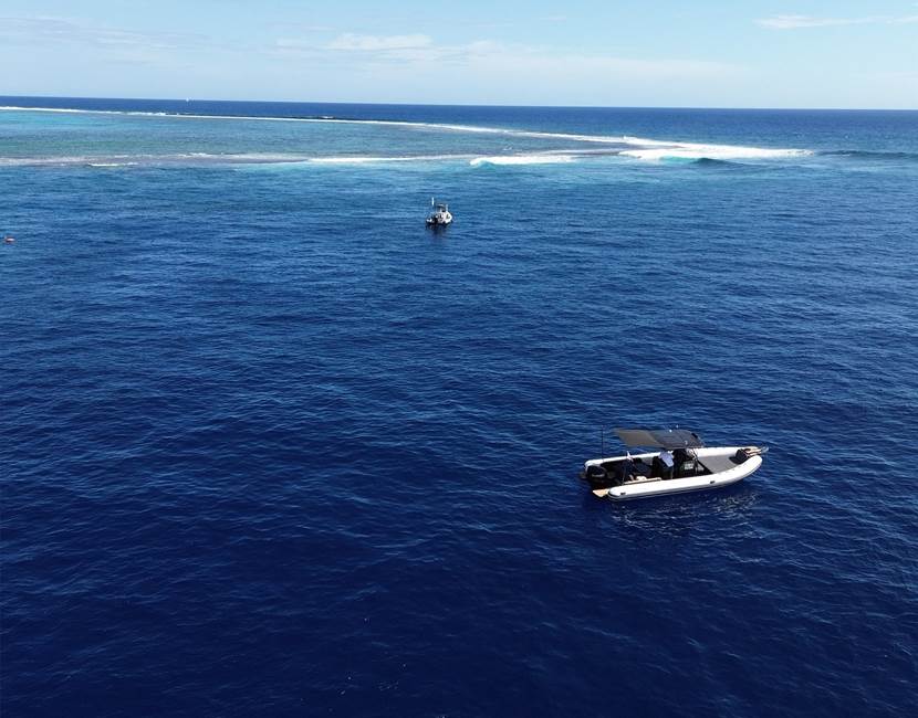 DJI_0525