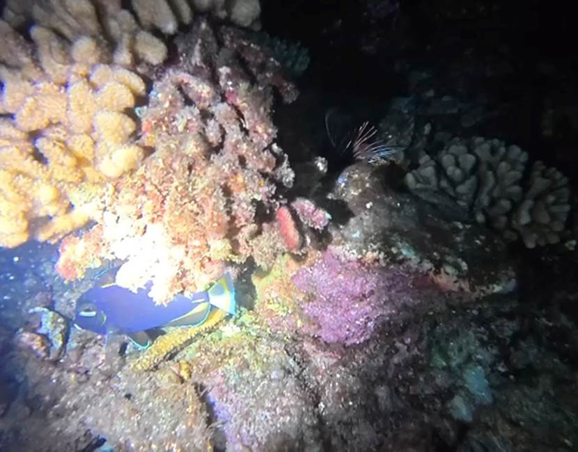 VideoCapture_20260427-125820