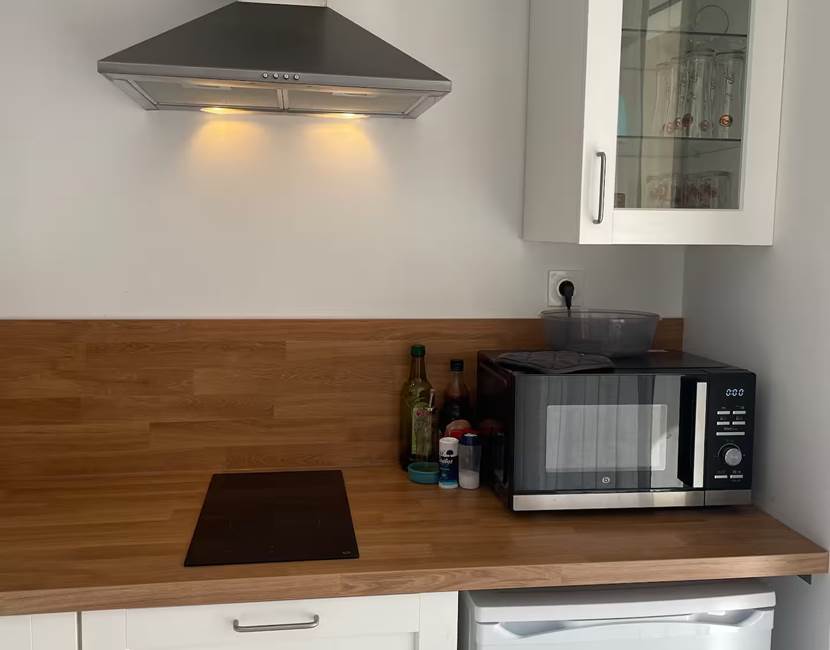 Micro-ondes, plaque de cuisson et petit frigo