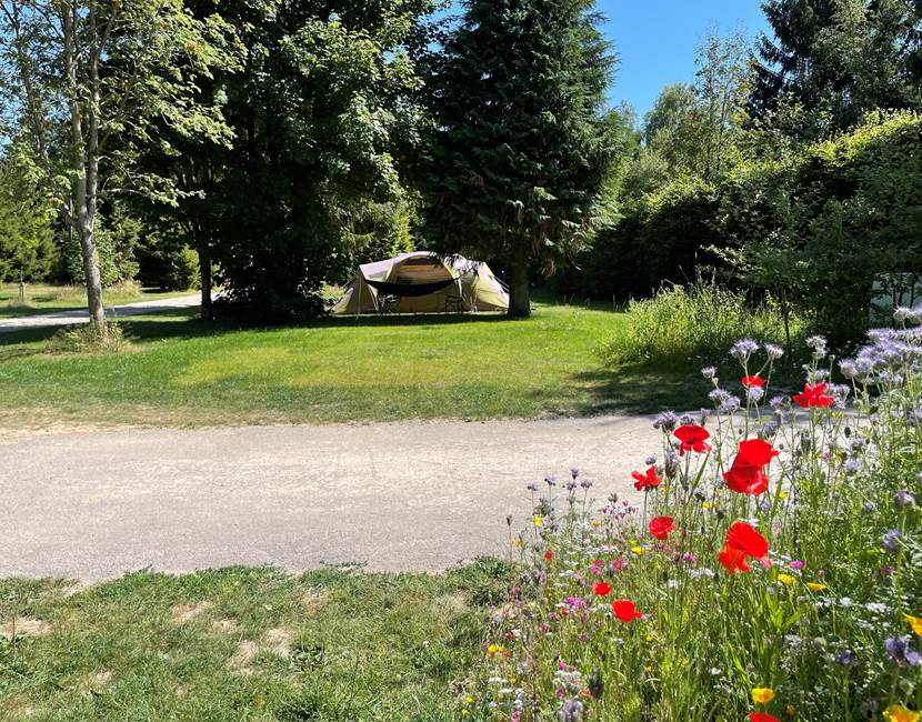 Zone bivouac - camping de passage