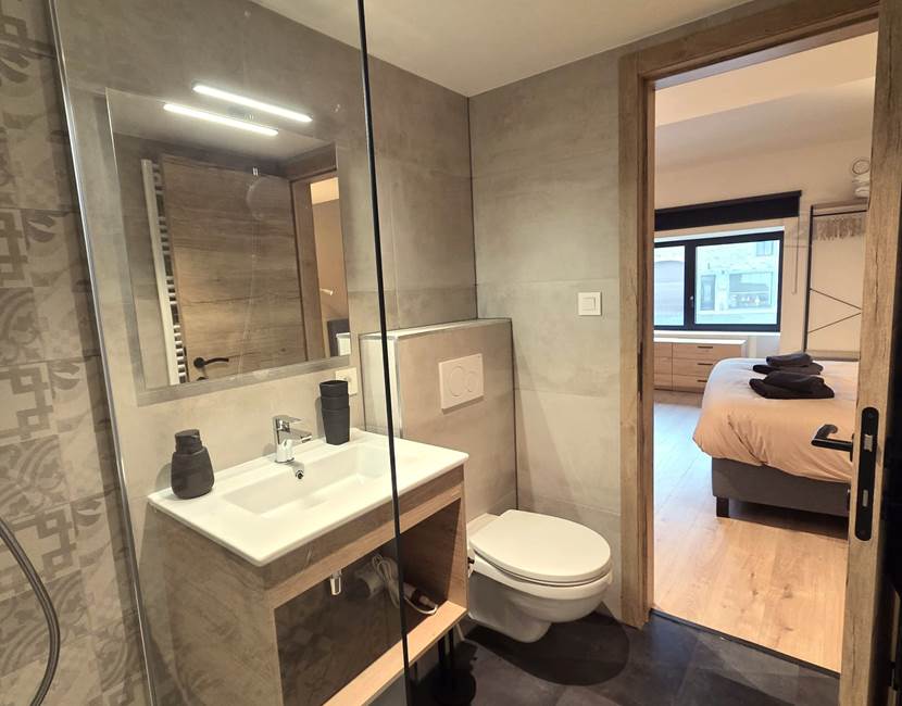 Salle de douche chambre 1