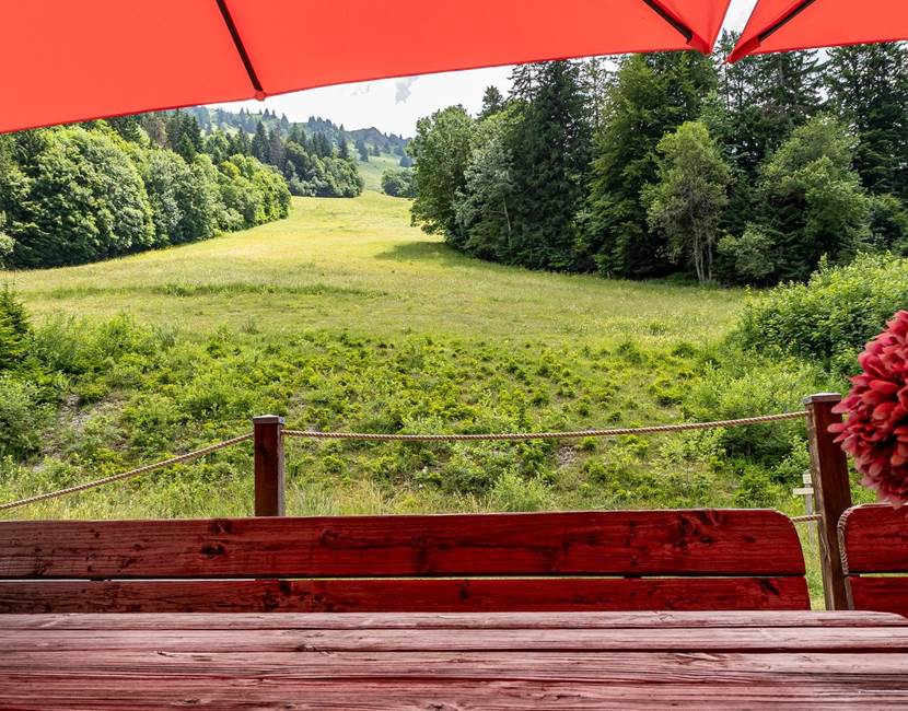 La terrasse avec vue