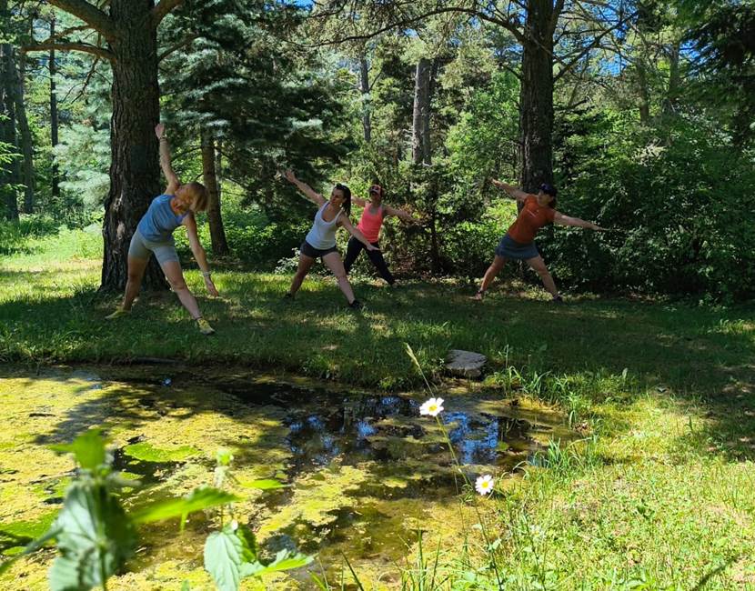 Yoga à l'arborethum du Cubertin