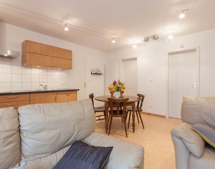 Salon / Living room
