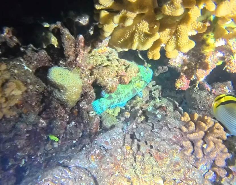 VideoCapture_20260427-125827