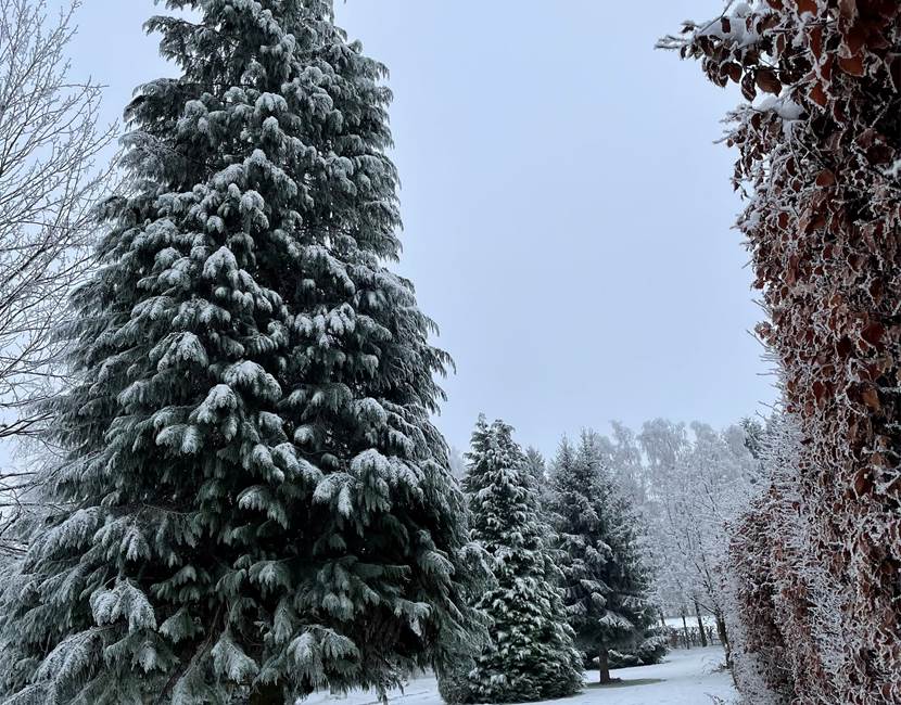 Zone Bivouac - camping de passage sous la neige