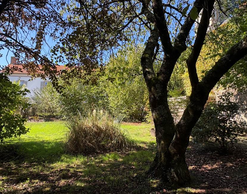 jardin-verdure-gite-le-lijaly-détente