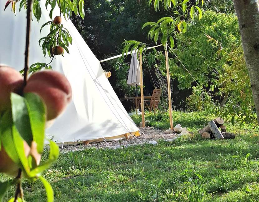 Tipis 21