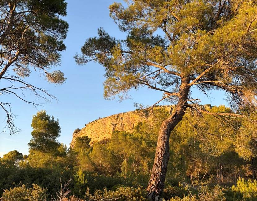 puech_des_mourgues