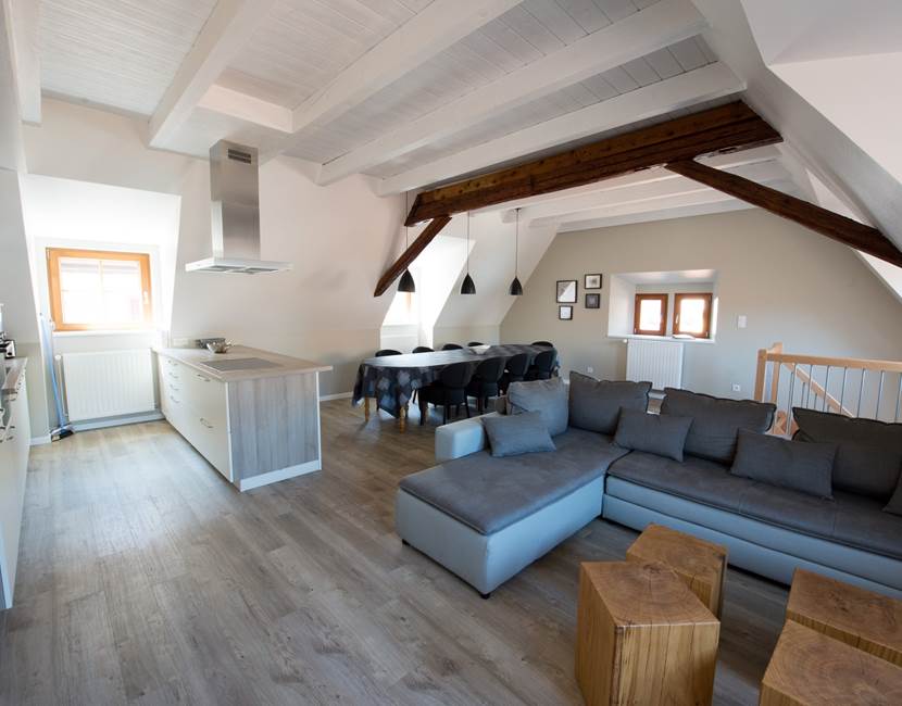 pièce à vivre / living room
