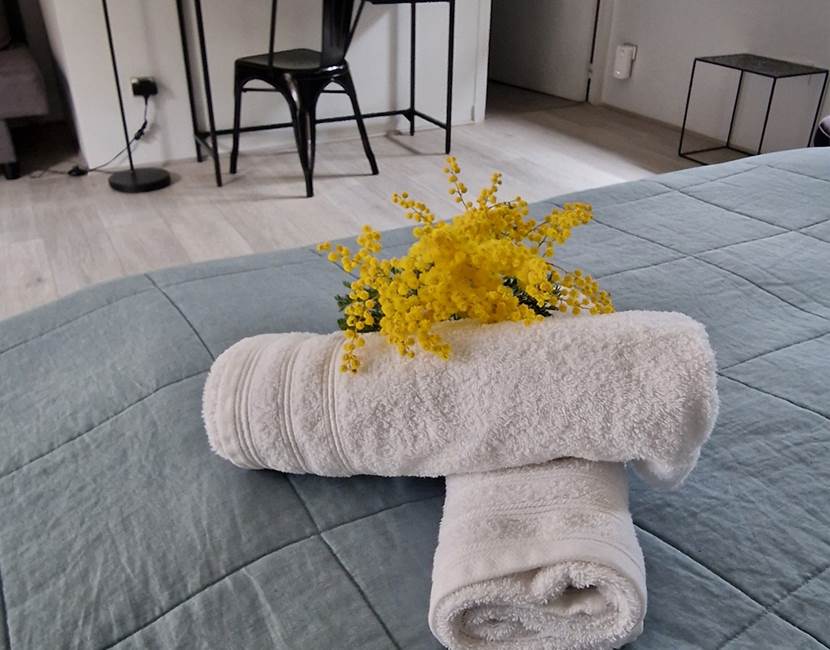 Suite Junior "La forêt"
