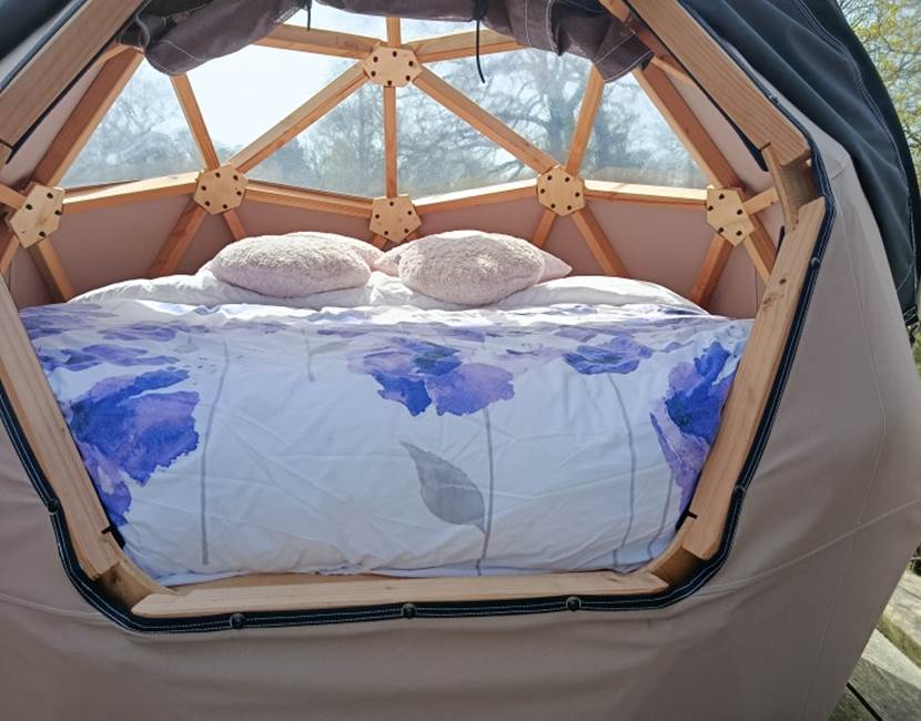 DOME5