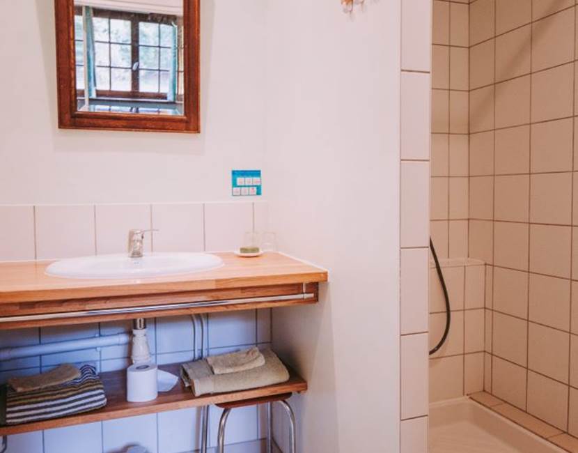 Chambre Forêt - Salle de douche
