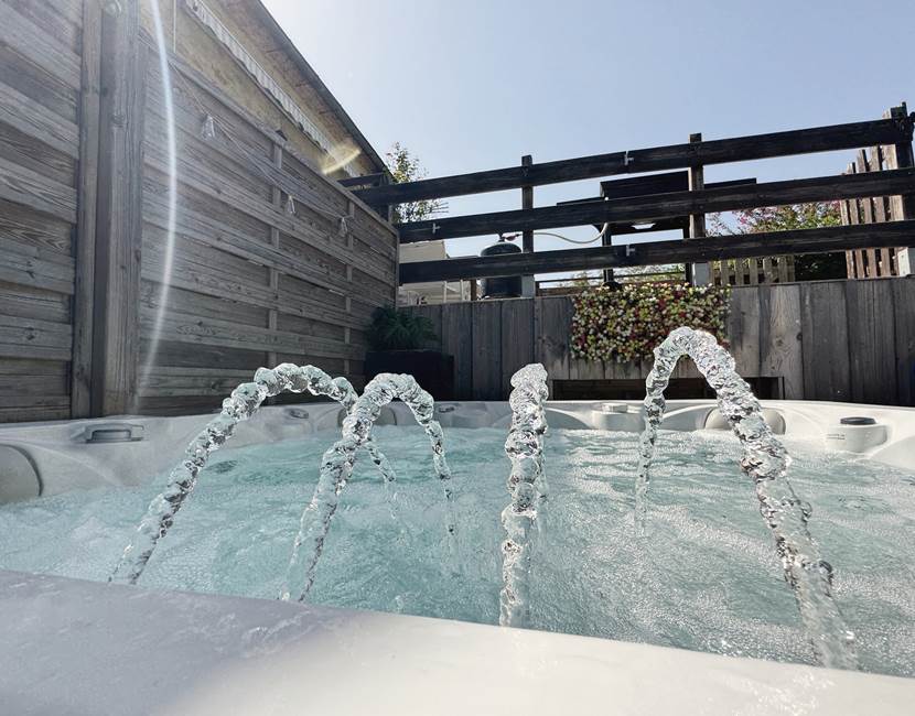 Campanule jacuzzi